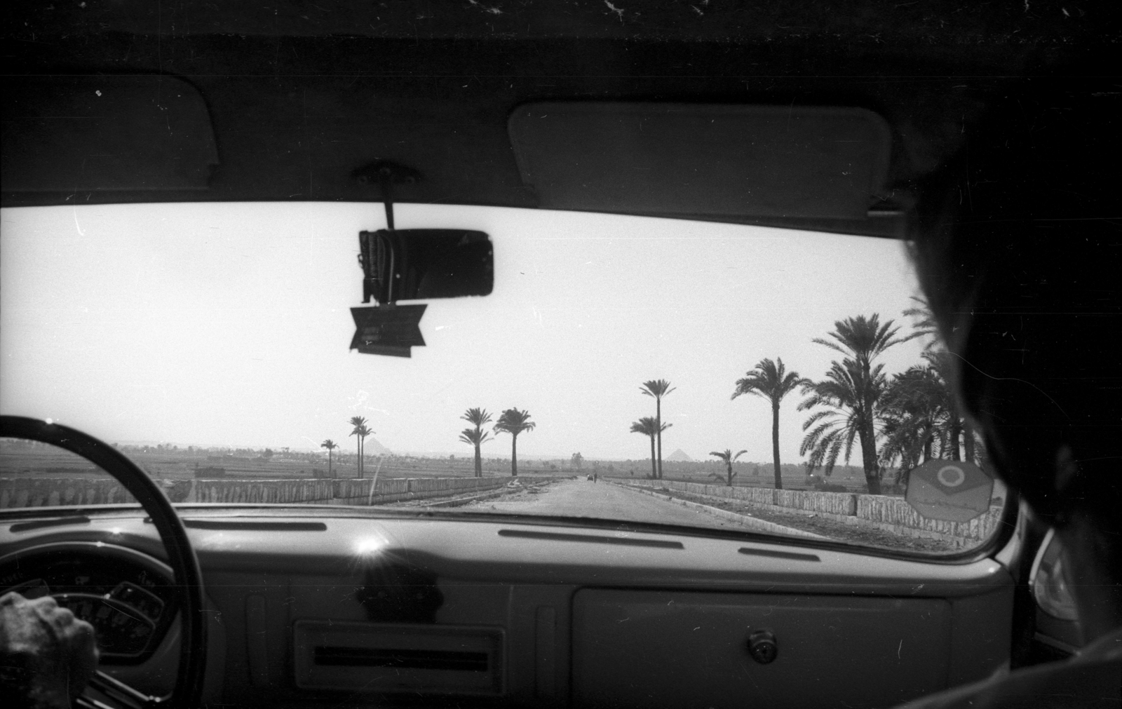 Egypt, 1962, Inkey Tibor, palm tree, steering wheel, vehicle interior, Fortepan #93245