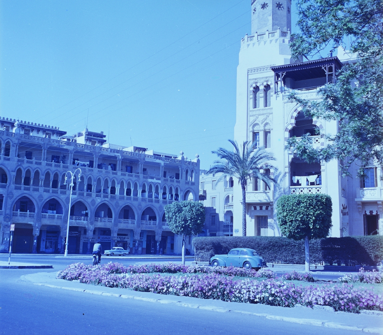 Egyiptom, Kairó, El-Korba tér., 1962, Inkey Tibor, színes, pálmafa, virágágyás, Fortepan #93301