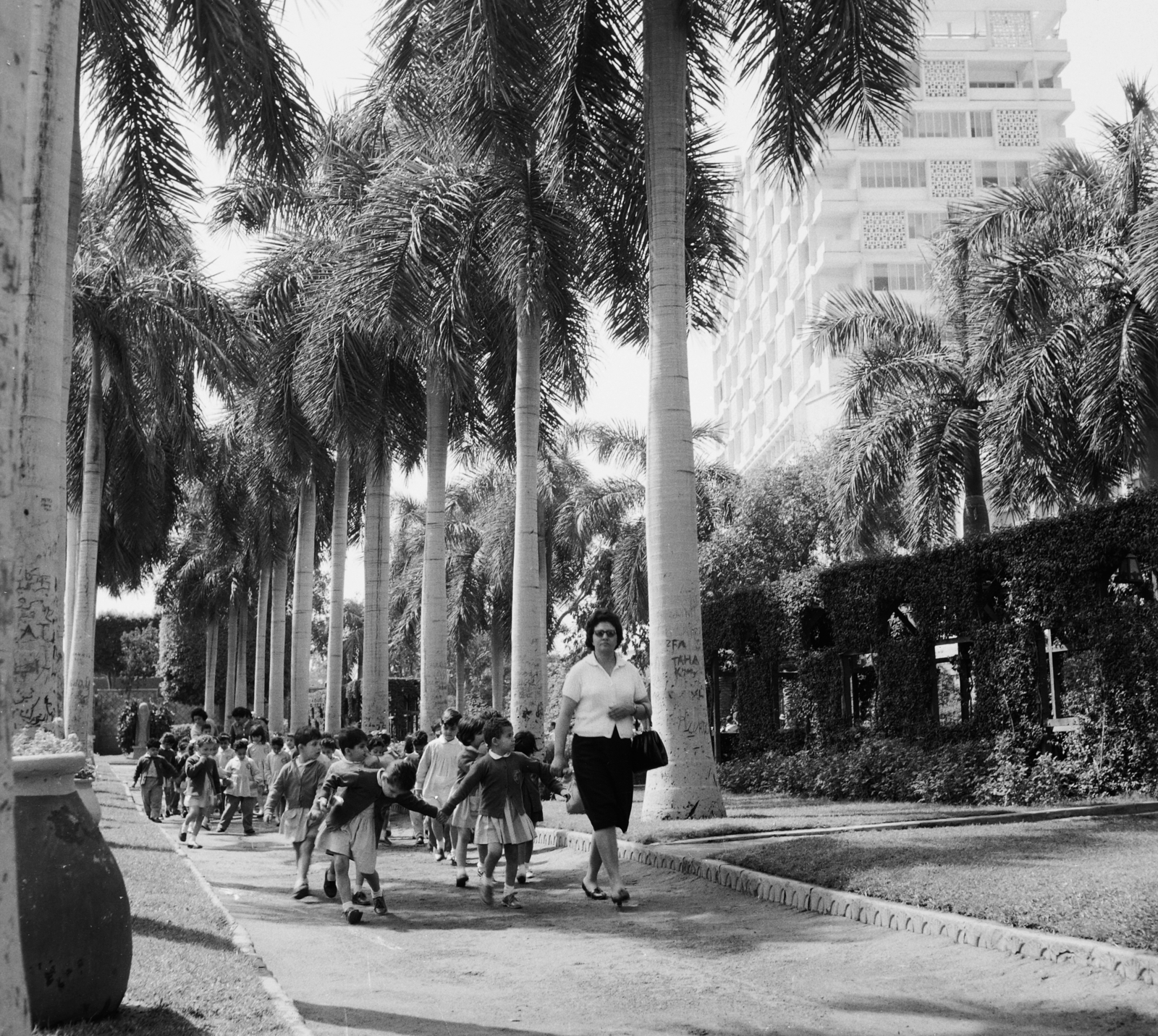 Egyiptom, 1962, Inkey Tibor, fasor, pálmafa, kézenfogva, Fortepan #93304