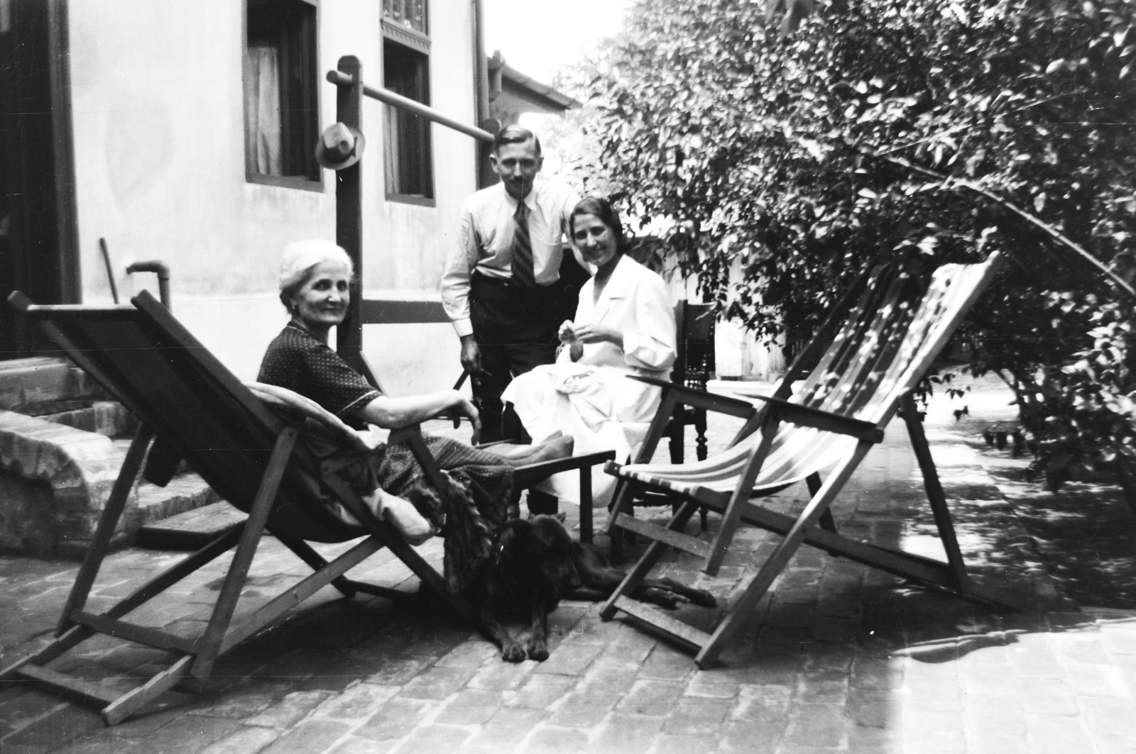 1936, Kurutz Márton, dog, deck chair, Fortepan #93476