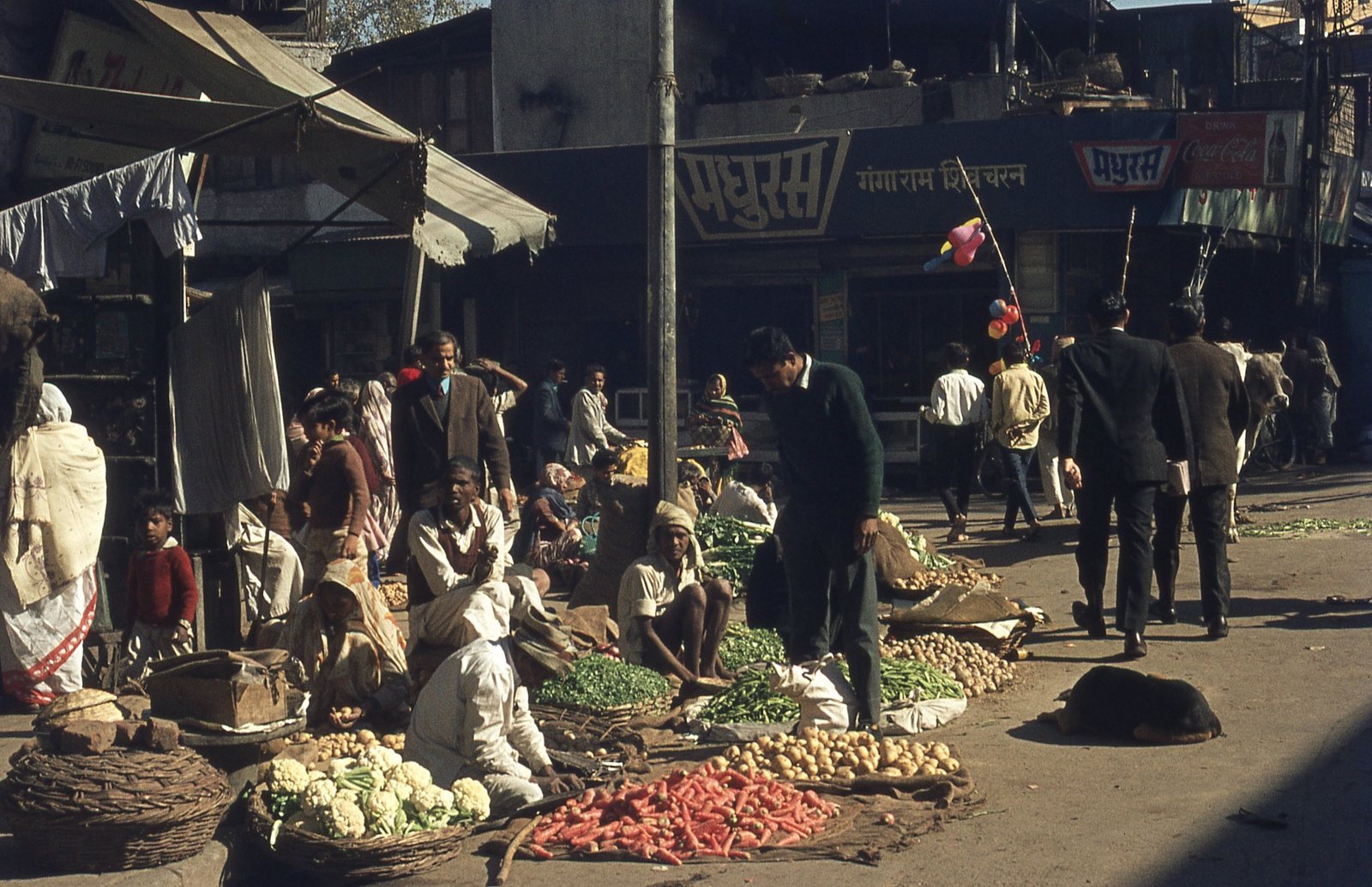 India, Delhi, 1972, Lőw Miklós, színes, Fortepan #93675