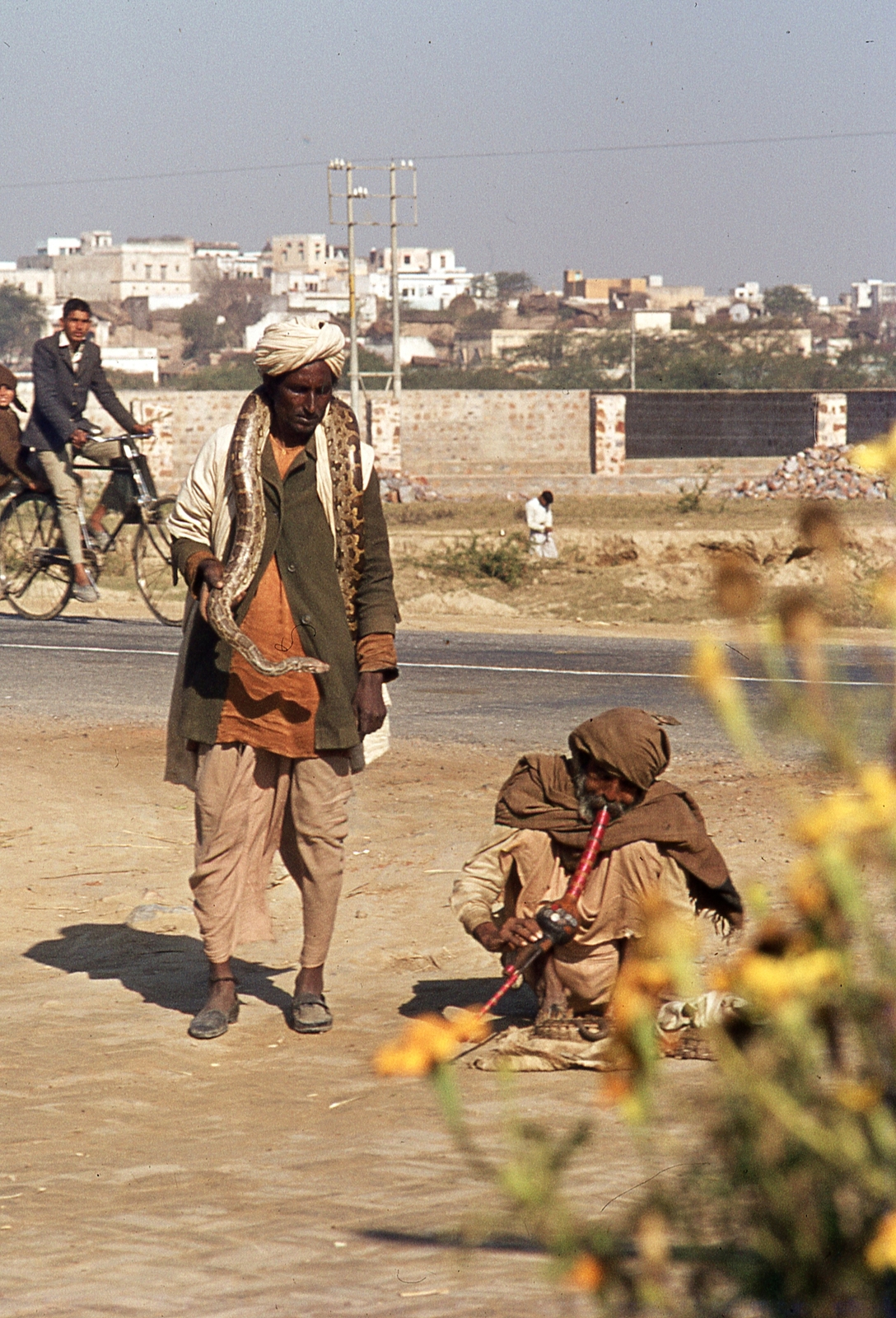 India, 1972, Lőw Miklós, színes, kígyó, kerékpár, Fortepan #93682