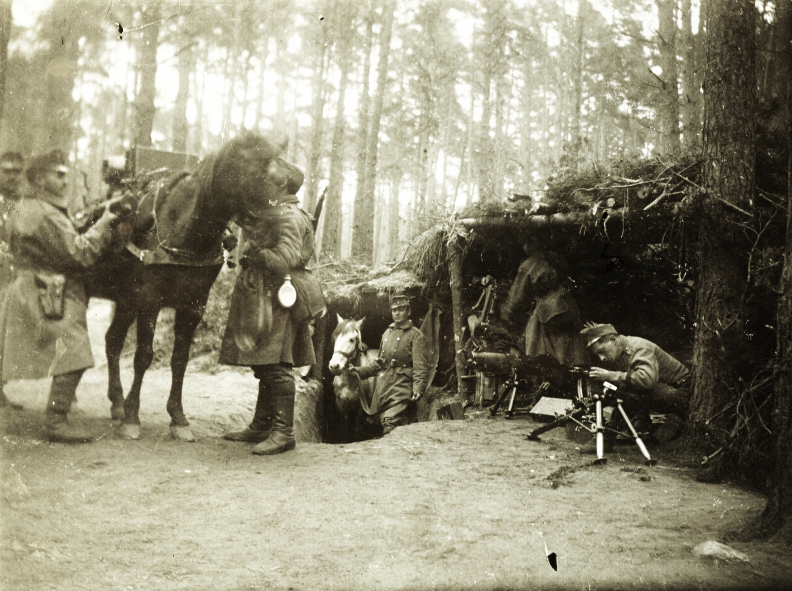 1915, Madaras Jenő, First World War, horse, soldier, machine gun, Schwarzlose-brand, Fortepan #93733