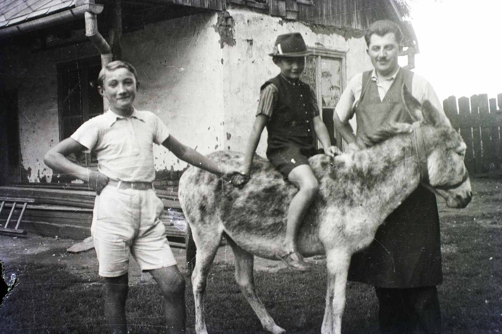 1933, Fortepan/Album004, yard, genre painting, donkey, man, boys, apron, Fortepan #93801