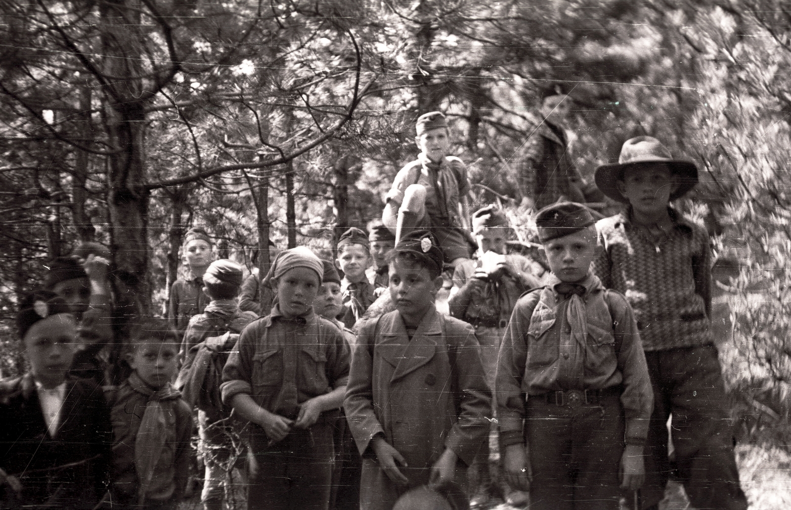 1939, Pálfi András, scouting, kid, Fortepan #94004