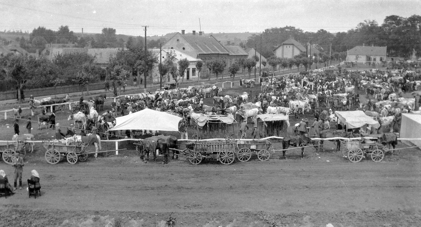 1928, Fortepan, horse, market, chariot, animal fair, Fortepan #9403