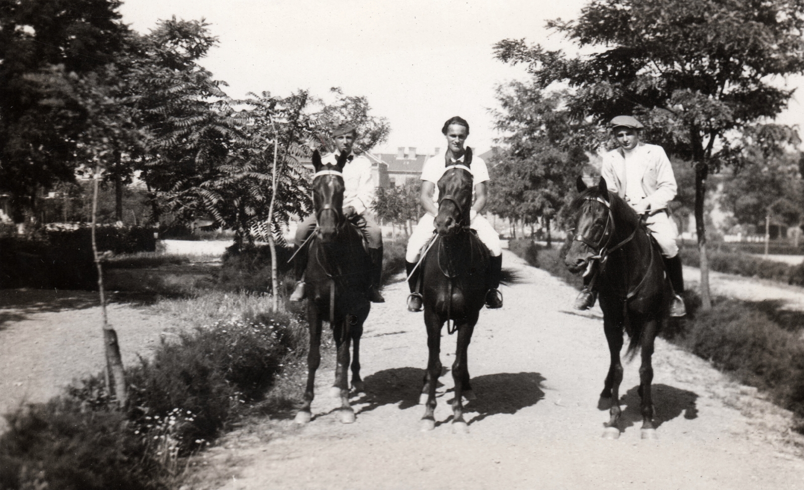 1932, Peter Selnar, horse, Fortepan #94061