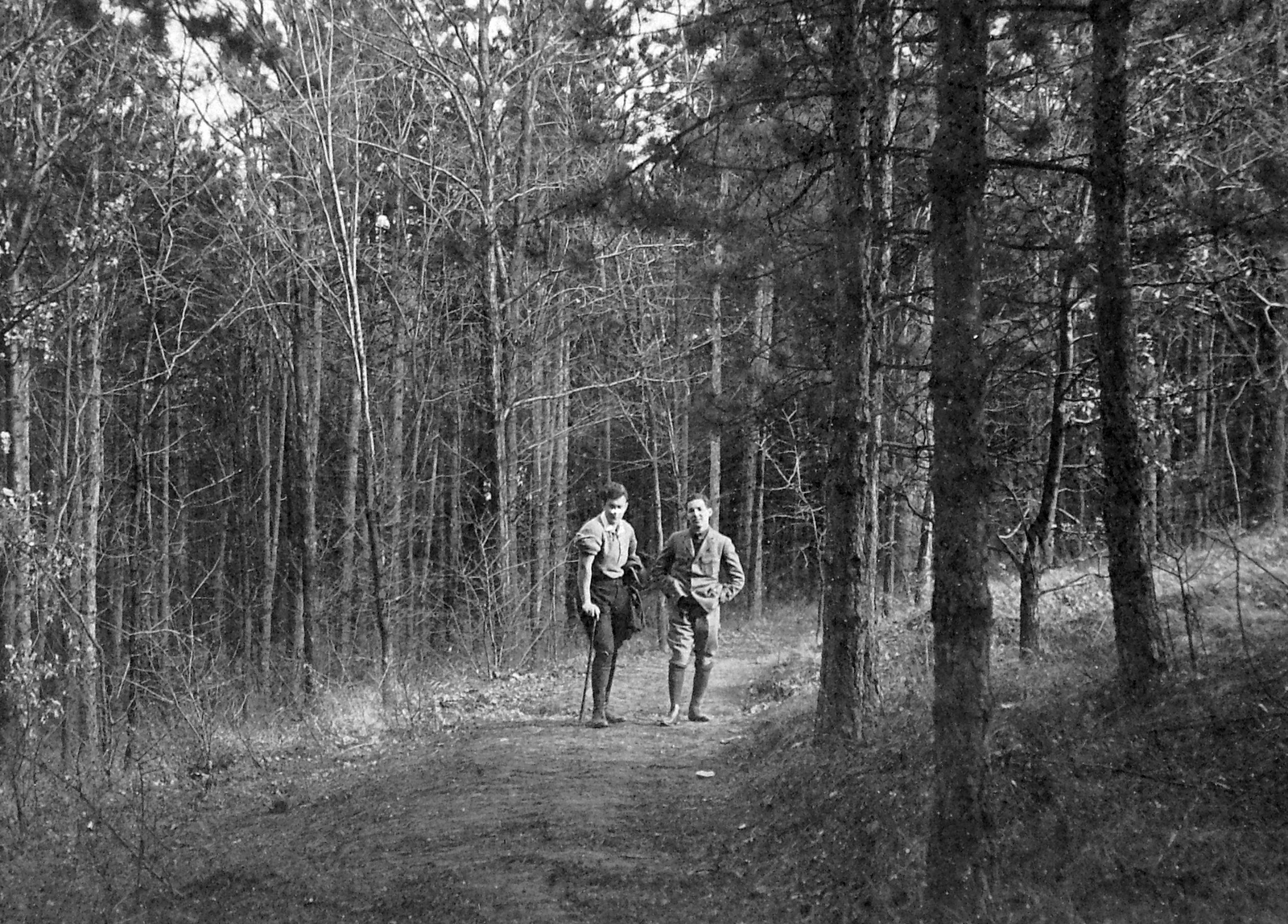 1925, Fortepan, free time, woods, excursion, men, pine forest, walking cane, double portrait, Fortepan #9412