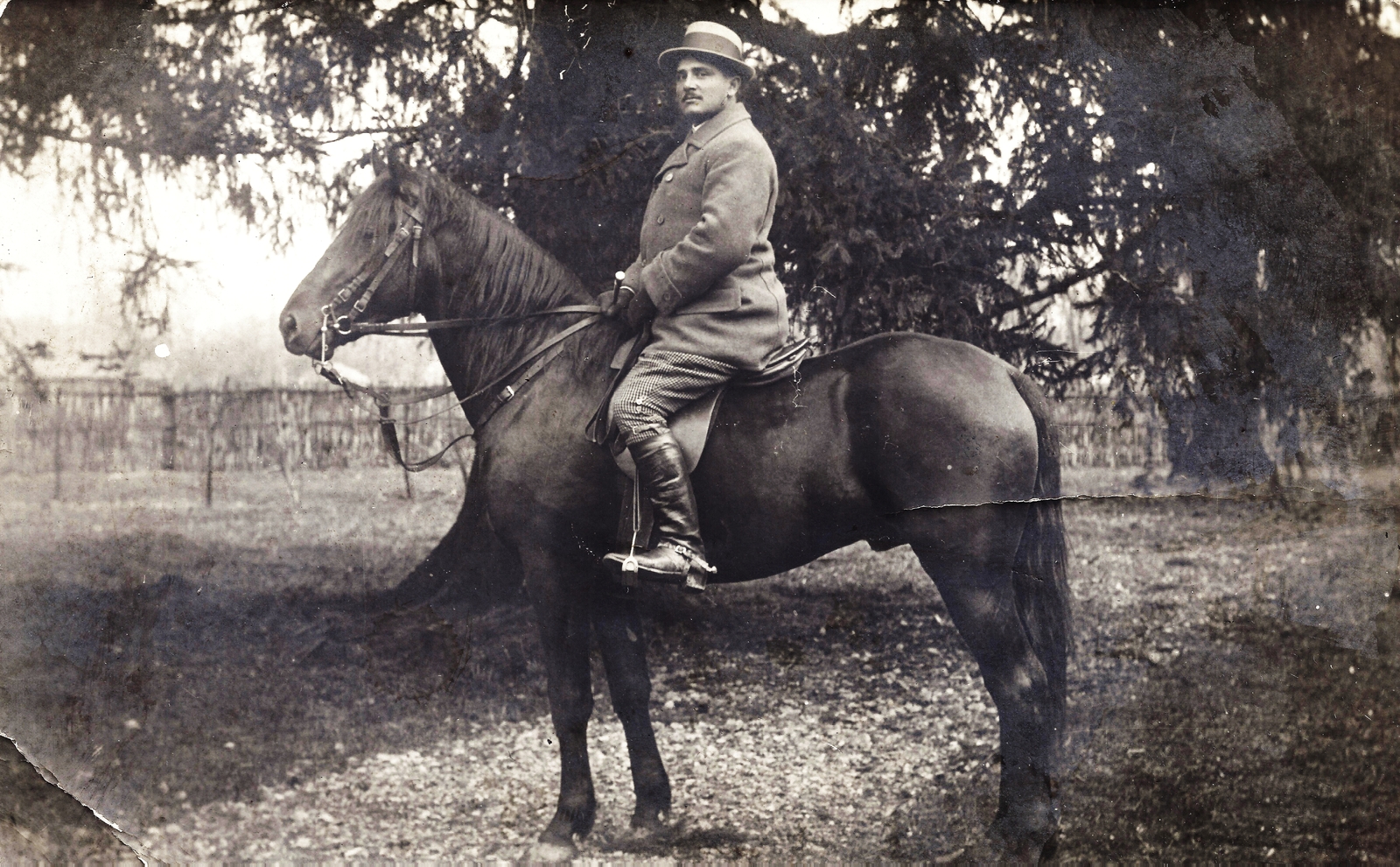 1913, Székely Márton, hat, horse, pine, Fortepan #94181