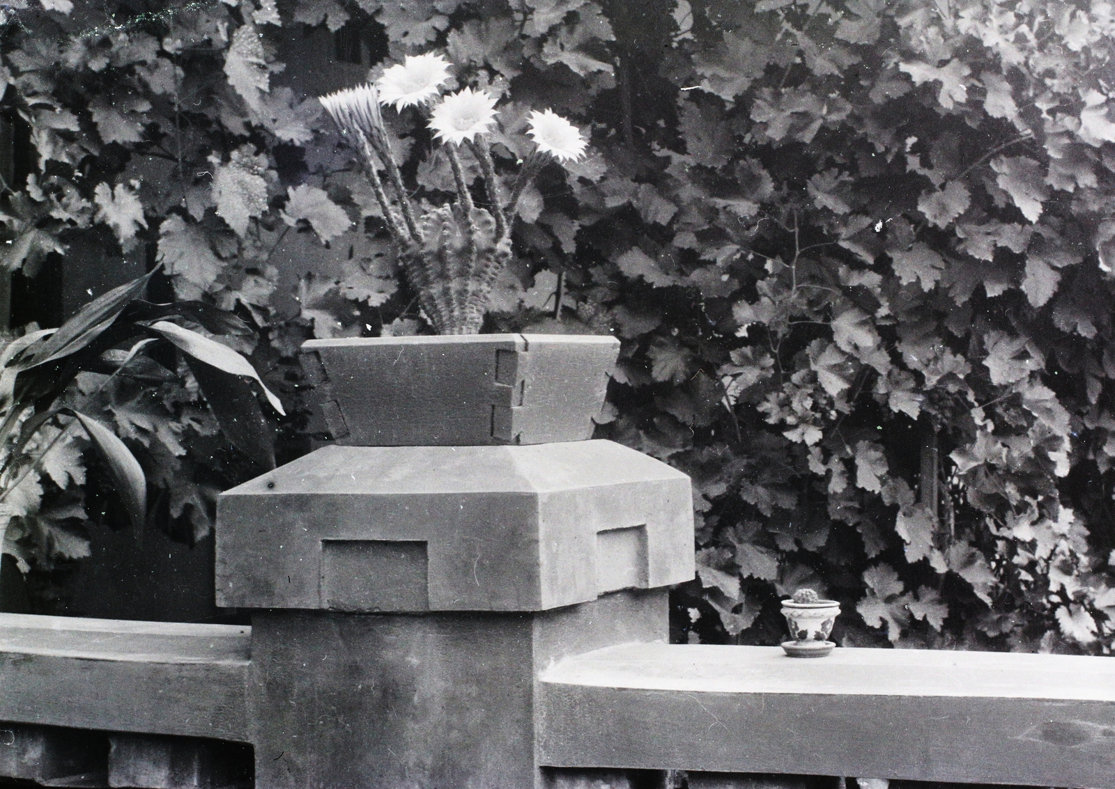 1940, Vaskapu utca, flower box, parapet, Fortepan #94279