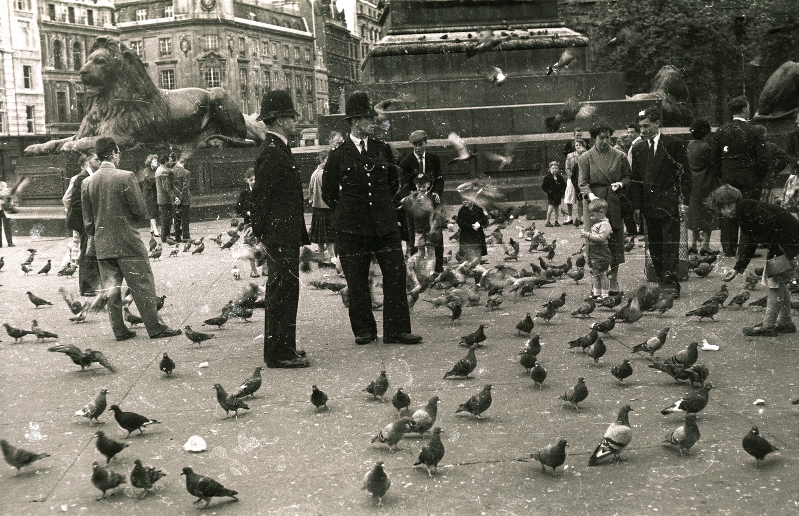 United Kingdom, London, Trafalgar Square., 1957, Vaskapu utca, monument, pedestrian, street view, genre painting, cop, dove, stone lion, bird feeding, William Railton-design, Fortepan #94478