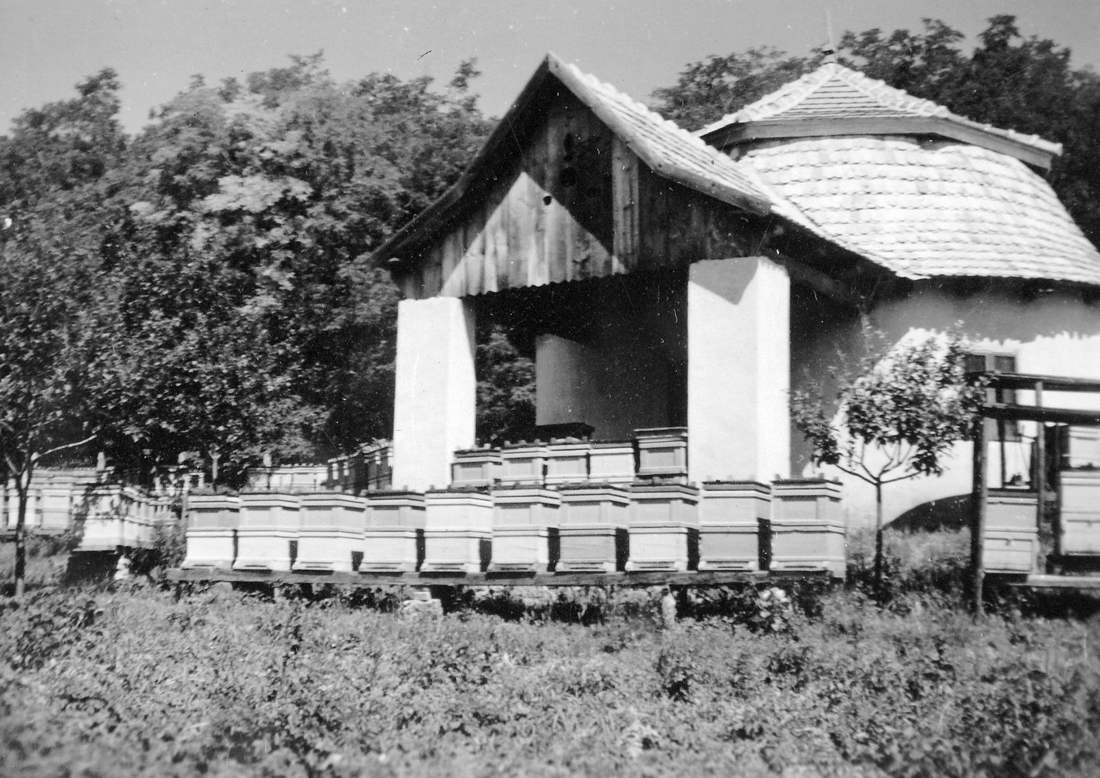 Méhészet., 1930, Fortepan, apiary, Fortepan #9462