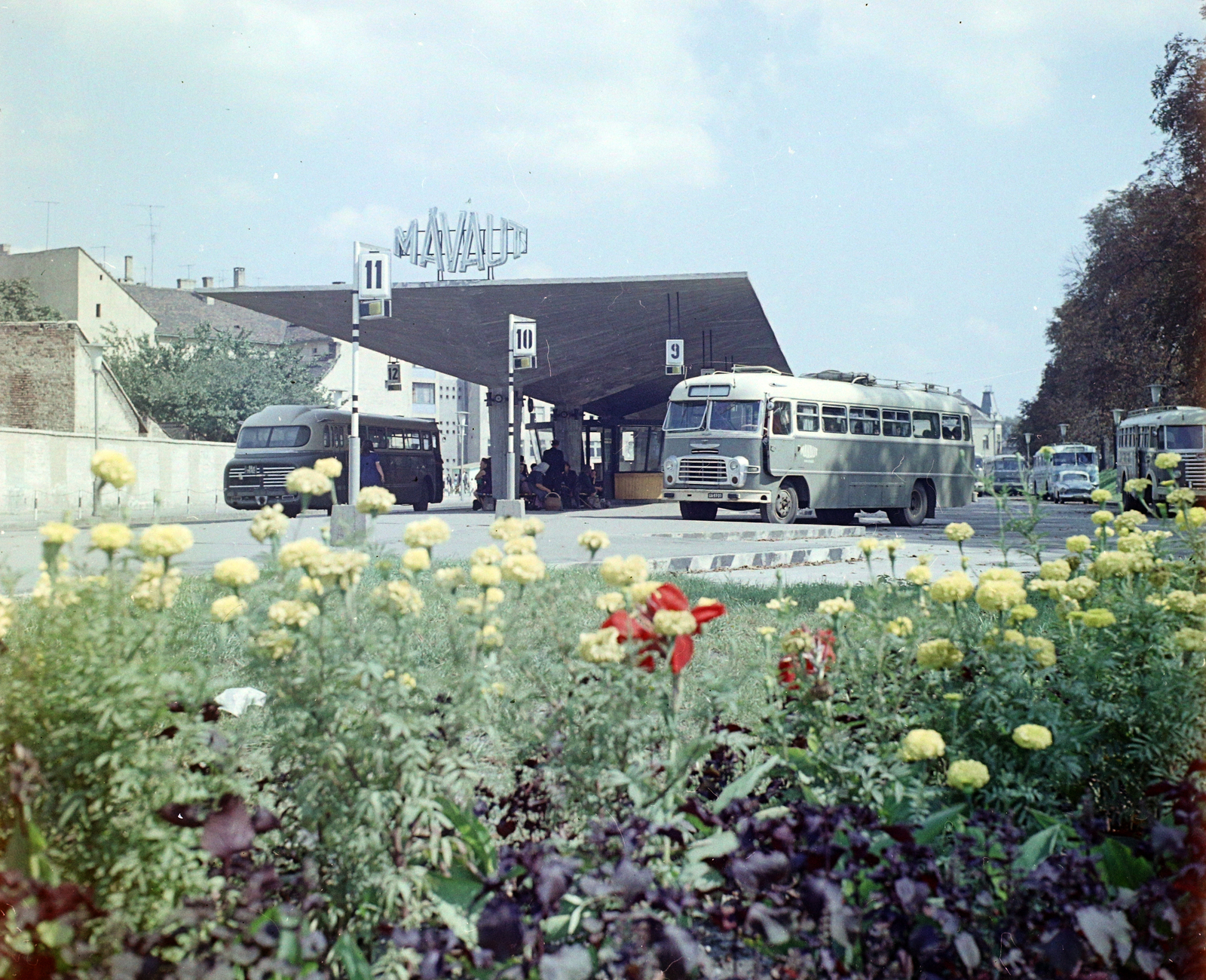 Hungary, Kaposvár, Újpiac tér, autóbusz-állomás., 1968, UVATERV, colorful, bus, Hungarian brand, Ikarus-brand, MÁVAUT-organisation, flower, bus terminal, bus stop, Fortepan #94730