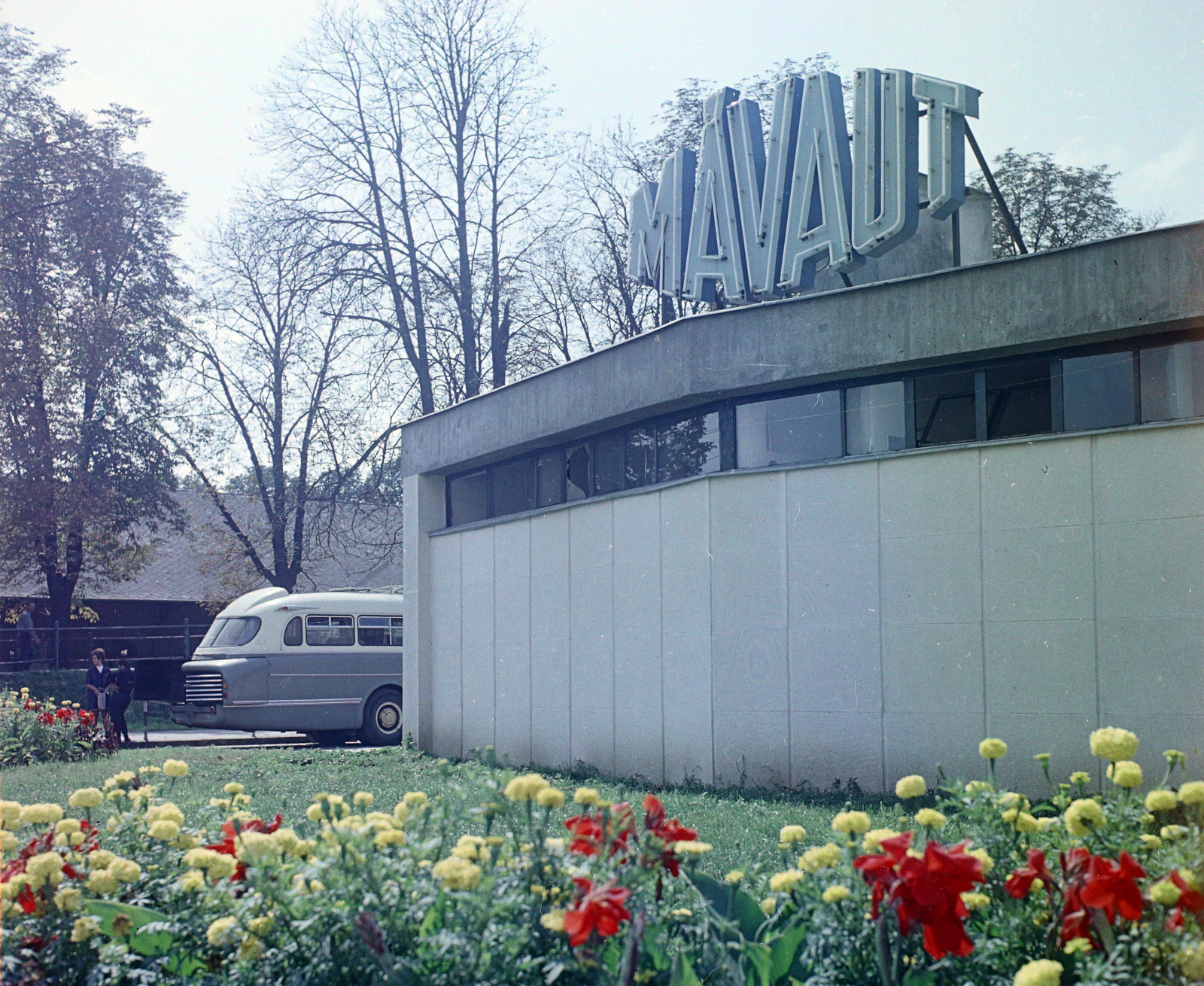 Hungary, Kaposvár, Újpiac tér, autóbusz-állomás., 1968, UVATERV, colorful, Ikarus-brand, MÁVAUT-organisation, flower, bus terminal, bus stop, Fortepan #94732