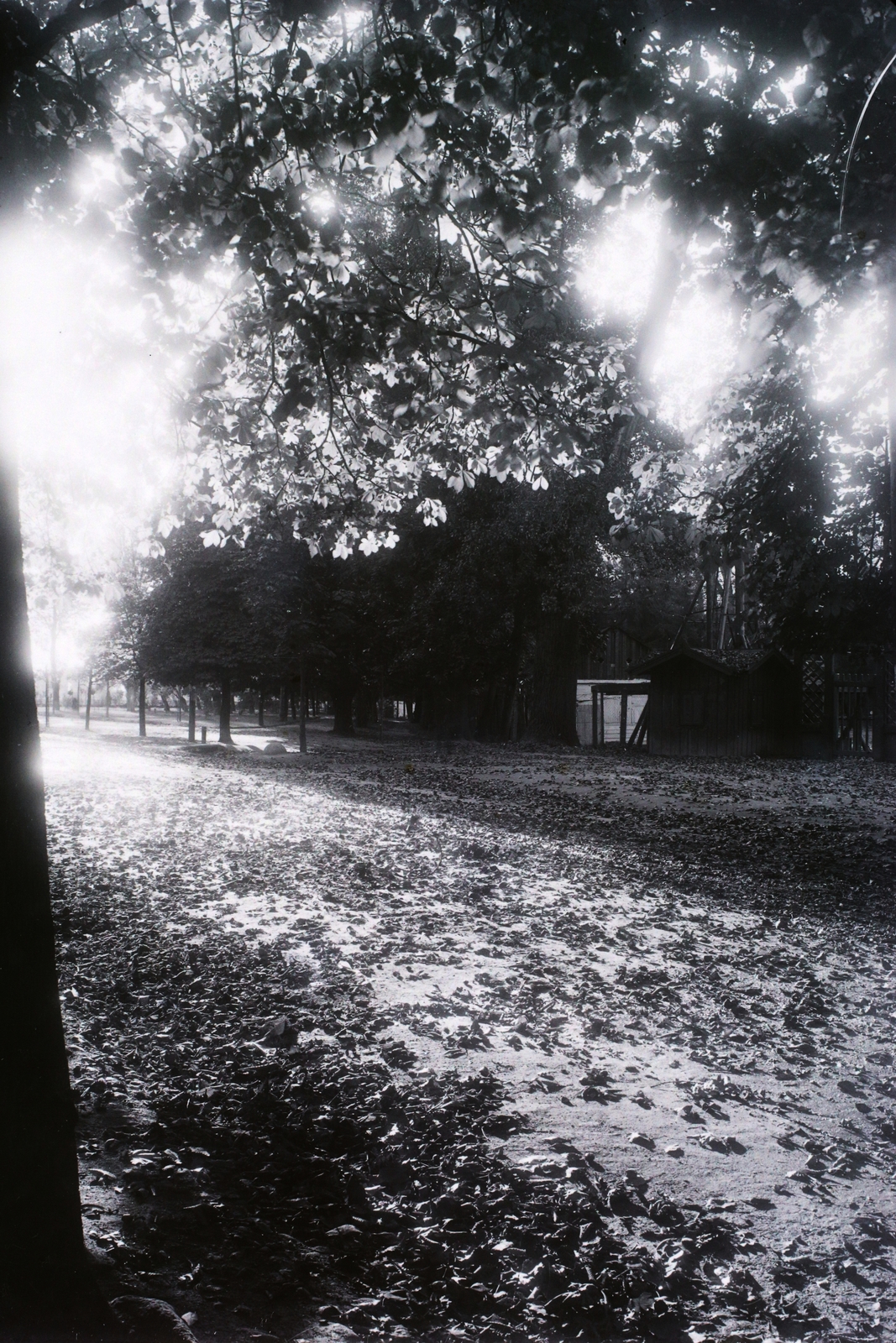 Romania,Transylvania, Cluj-Napoca, Sétatér (Parcul Central)., 1913, Magyar Földrajzi Múzeum / Kerekes J. Zoltán, Fortepan #95196