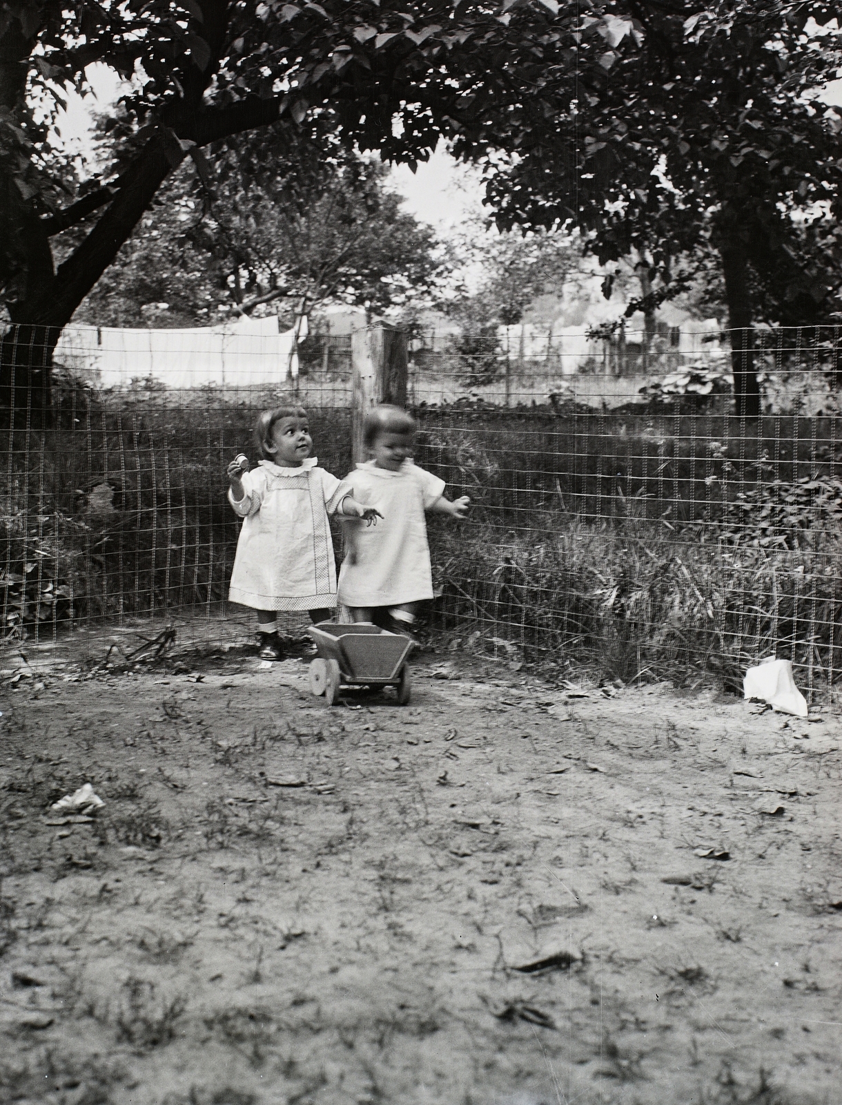 1905, Zichy, girl, white dress, chain-link fence, Fortepan #95305