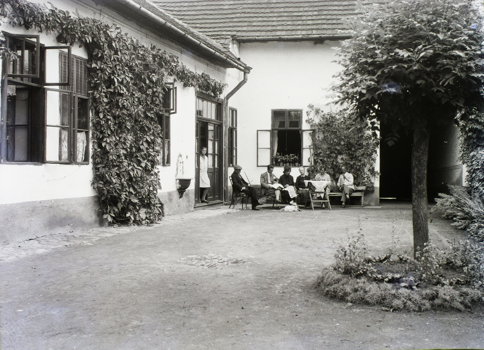 Szlovákia, Igló, a felvétel a Schermann család lakóháza előtt készült., 1929, Schermann Ákos, Schermann Szilárd, Csehszlovákia, kutya, udvar, pad, fali csap, mosdótál, Fortepan #95366