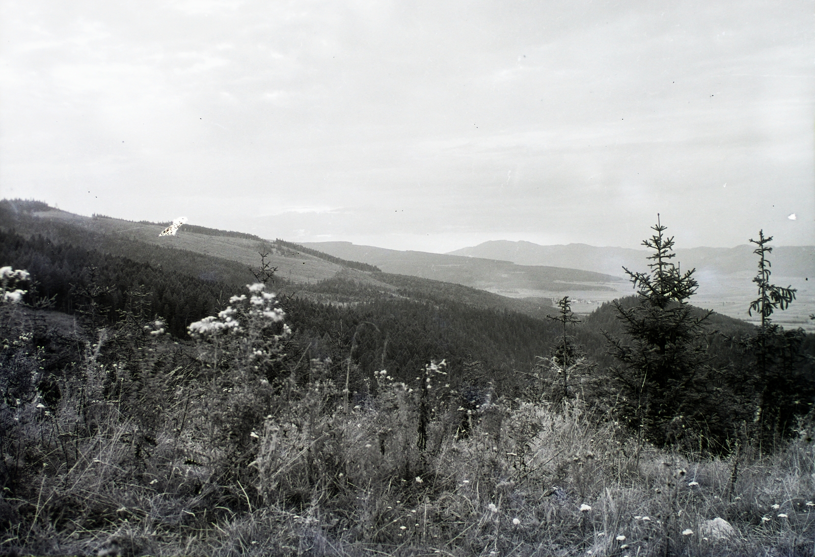 Slovakia, Slovak Paradise National Park, Menedékkő-fennsík (Klaštorisko), jobbra a Kozi-Kameň hegylánc., 1929, Schermann Ákos, Schermann Szilárd, Czechoslovakia, landscape, Fortepan #95371