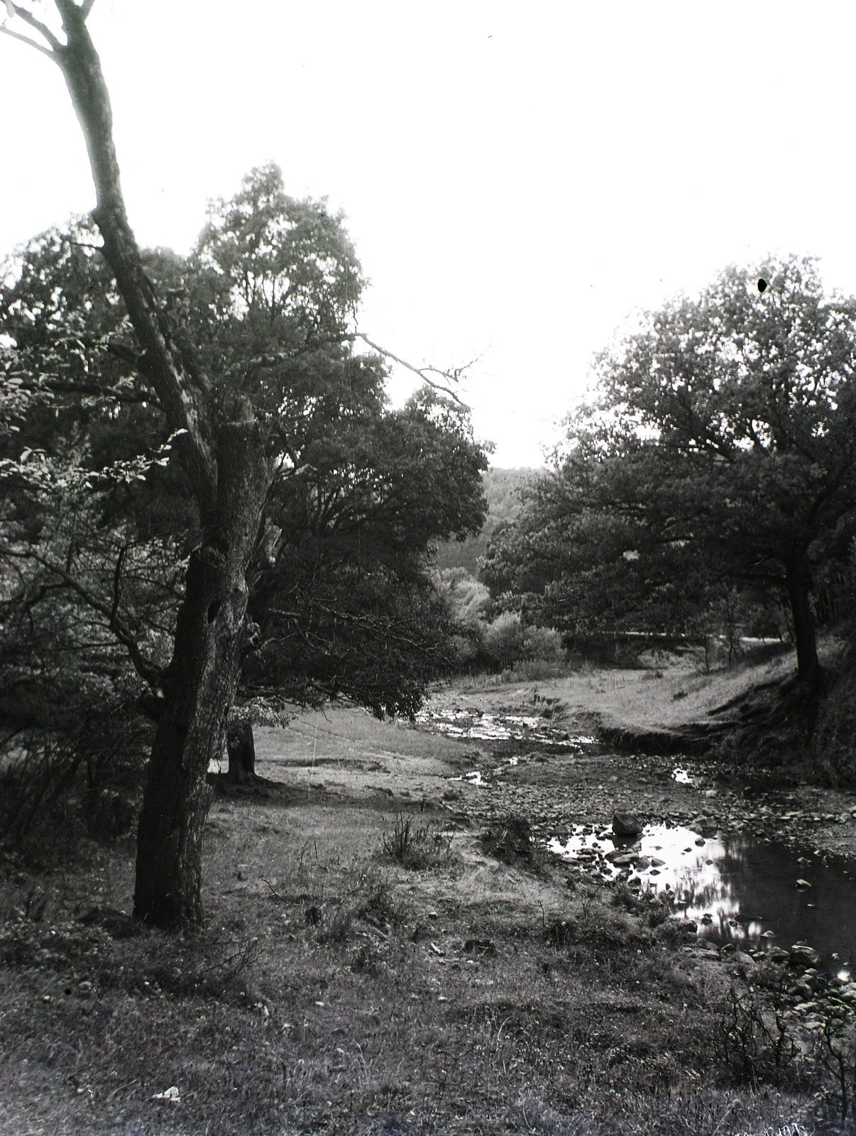 Hungary, Nagymaros, Malom-völgy, Tizenegy vályús forrás Törökmező közelében., 1929, Schermann Ákos, Schermann Szilárd, shore, Fortepan #95376