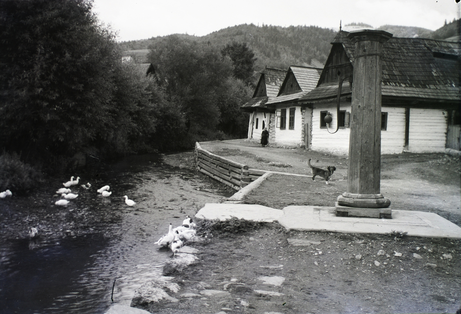 Szlovákia, Dobsina, 1930, Schermann Ákos, Schermann Szilárd, Csehszlovákia, falu, kutya, liba, Fortepan #95414