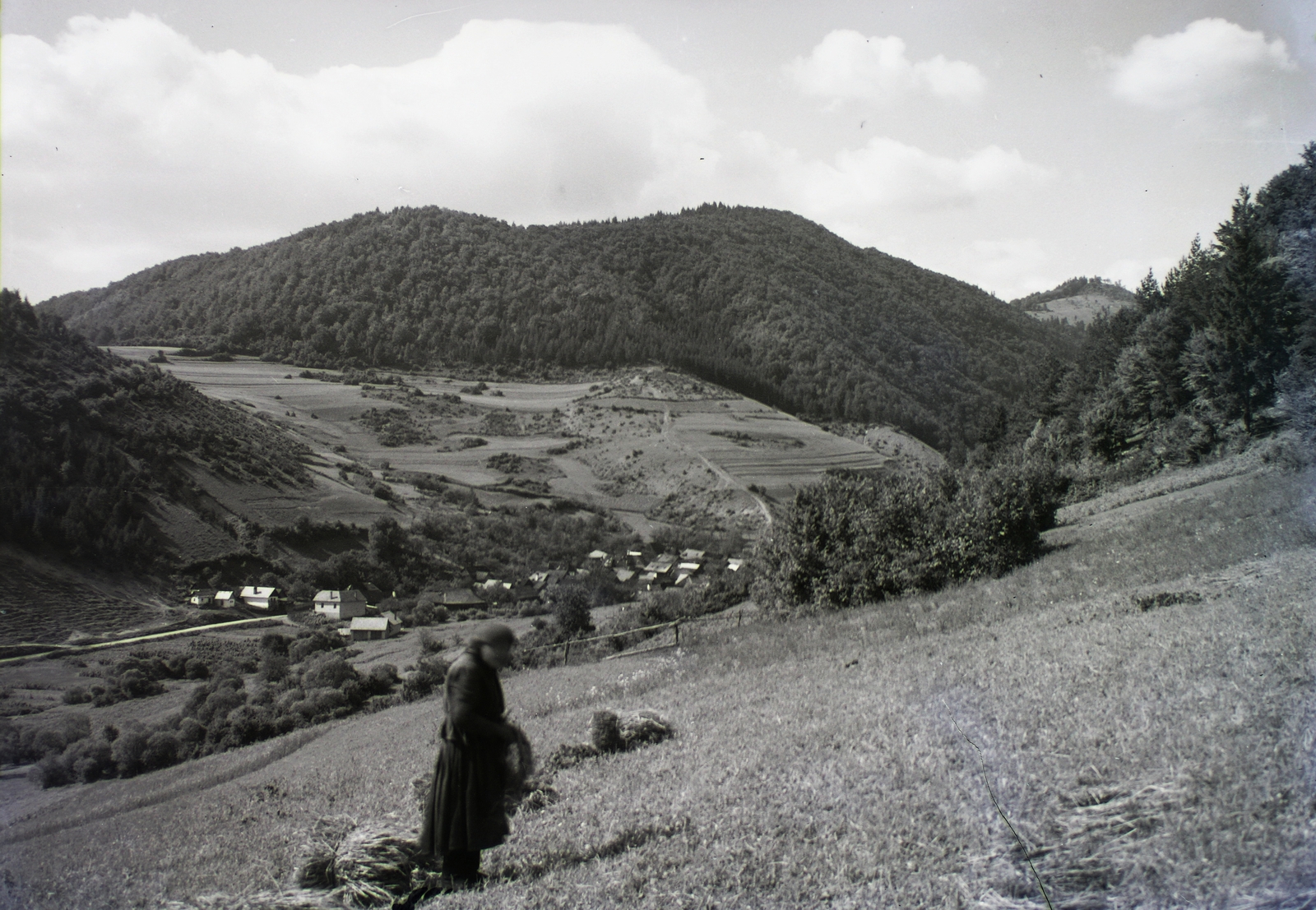 Szlovákia, Hédel, 1930, Schermann Ákos, Schermann Szilárd, Csehszlovákia, tájkép, Fortepan #95416