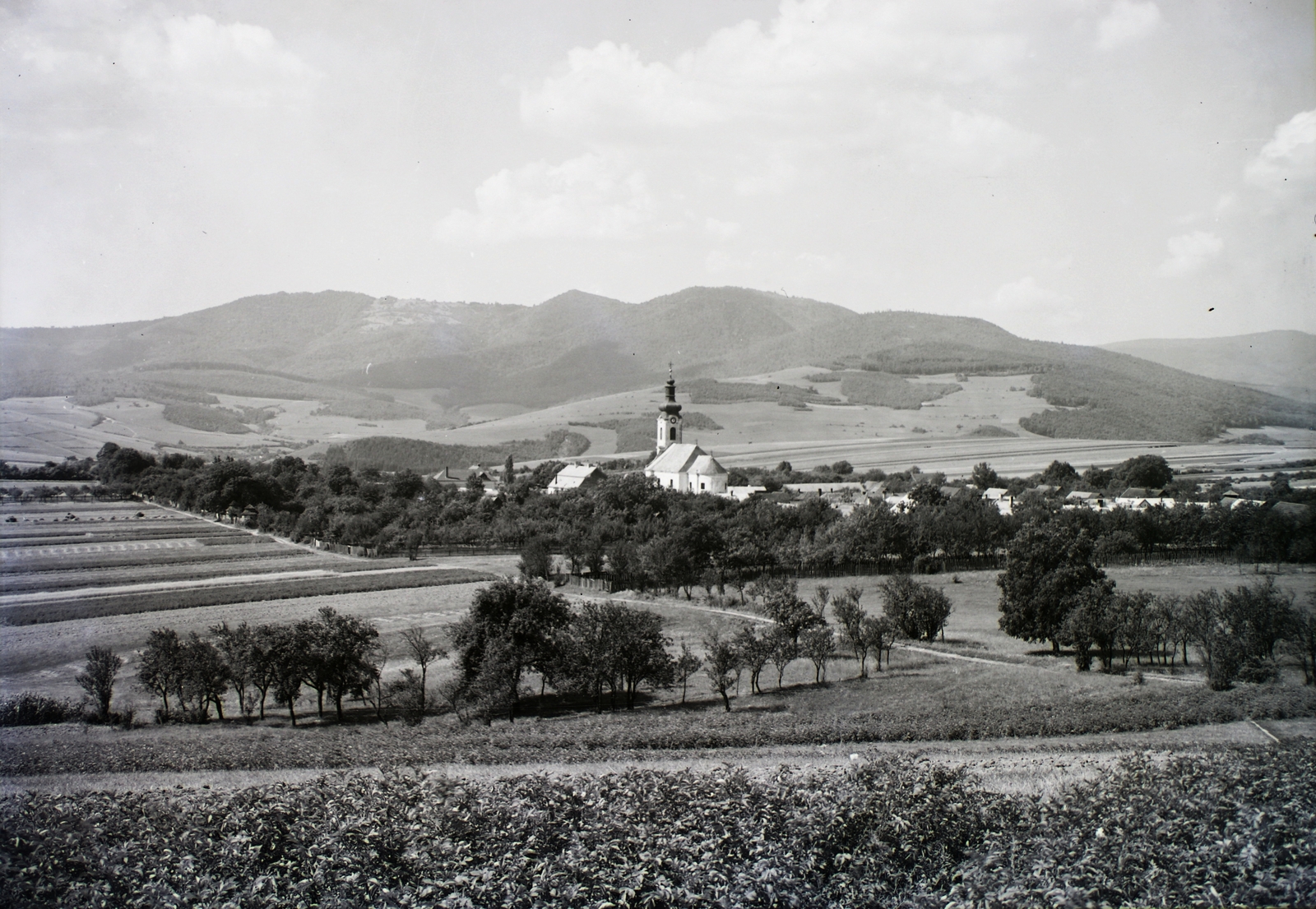 Szlovákia, Felsőmecenzéf, a település látképe, középen a katolikus templom., 1931, Schermann Ákos, Schermann Szilárd, Csehszlovákia, tájkép, katolikus, Fortepan #95438