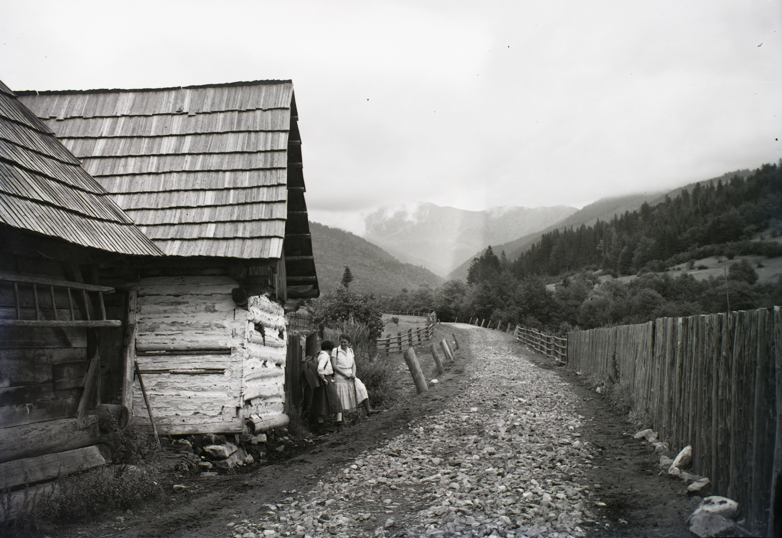 Szlovákia,Alacsony-Tátra, Sebesér, a Bisztra-völgy felé vezető út a község határában, háttérben a Chopok., 1931, Schermann Ákos, Schermann Szilárd, Csehszlovákia, Fortepan #95440