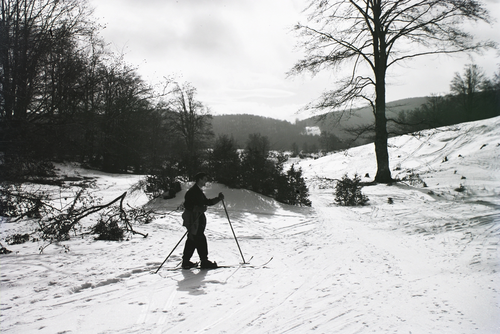 Hungary, Nagymező., 1932, Schermann Ákos, Schermann Szilárd, winter, skiing, man, wood, snow, Fortepan #95450