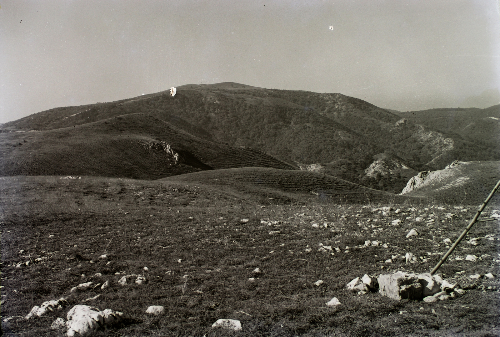 Hungary, Budai-hegység, Nagy-Szénás a Zsíros-hegy felől nézve., 1932, Schermann Ákos, Schermann Szilárd, picture, Fortepan #95479
