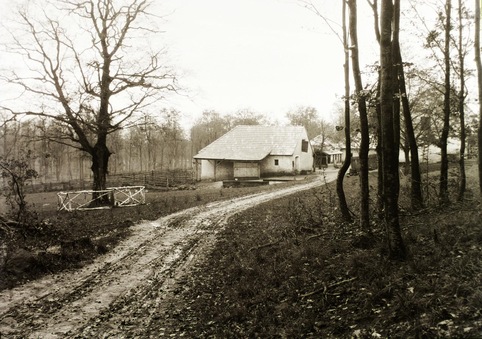 Magyarország, Bakony, Kab-hegy., 1932, Schermann Ákos, Schermann Szilárd, Fortepan #95481
