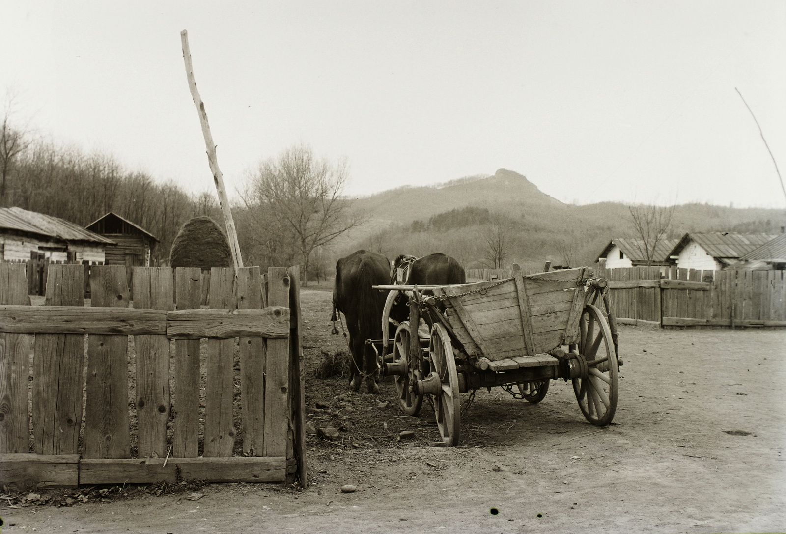 Hungary, Salgótarján, Inászó (mára megszűnt településrész), háttérben a Pécskő-hegy., 1933, Schermann Ákos, Schermann Szilárd, village, chariot, mountain, horse, Fortepan #95490