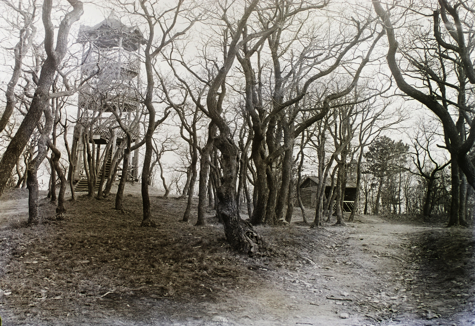 Hungary, Sopron, Károly-kilátó, 1936-ban helyére épült a kőkilátó., 1934, Schermann Ákos, Schermann Szilárd, lookout, Fortepan #95514