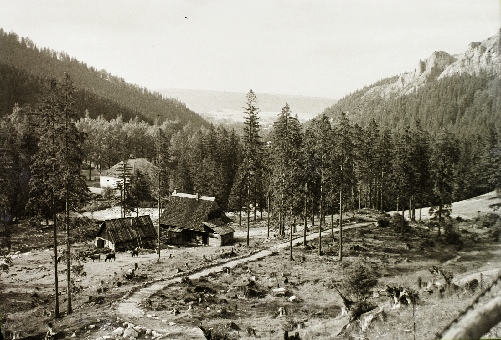 Poland,Tatry Wysokie, Zakopane, Kuznice városrész, jobbra a Nosal-hegy., 1934, Schermann Ákos, Schermann Szilárd, Tatra Mountains, Fortepan #95531