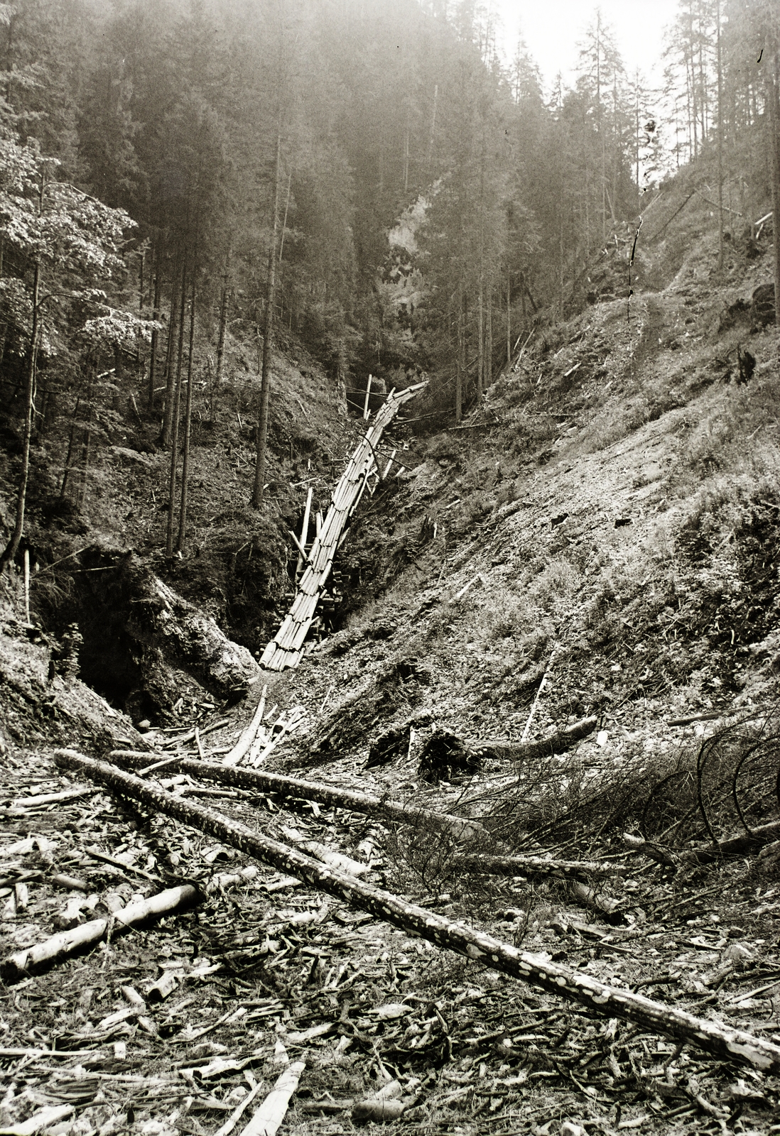 Slovakia, Slovak Paradise National Park, Nagy Sólyom-szurdok., 1934, Schermann Ákos, Schermann Szilárd, Czechoslovakia, Fortepan #95533