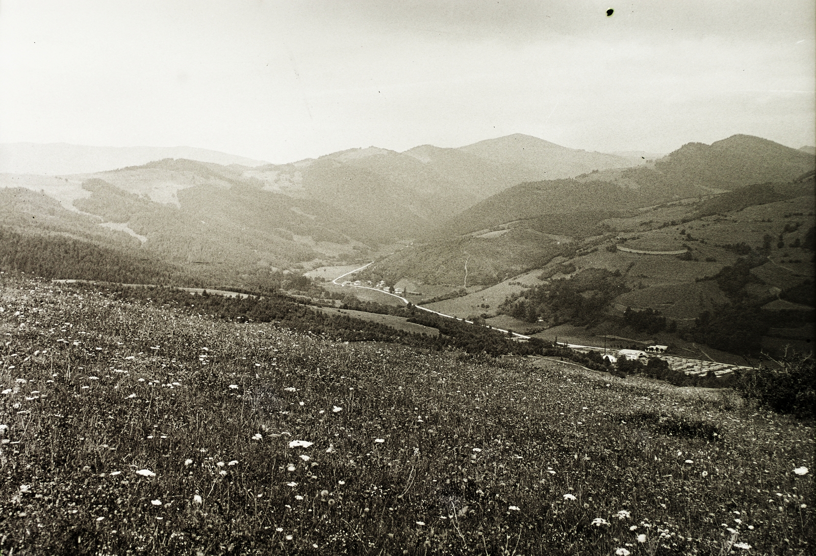 Slovakia, Dobšiná, a Sajó völgye a városközponttól nyugatra, jobbra Vyšný Hámor., 1934, Schermann Ákos, Schermann Szilárd, Czechoslovakia, field, picture, hillside, Fortepan #95538
