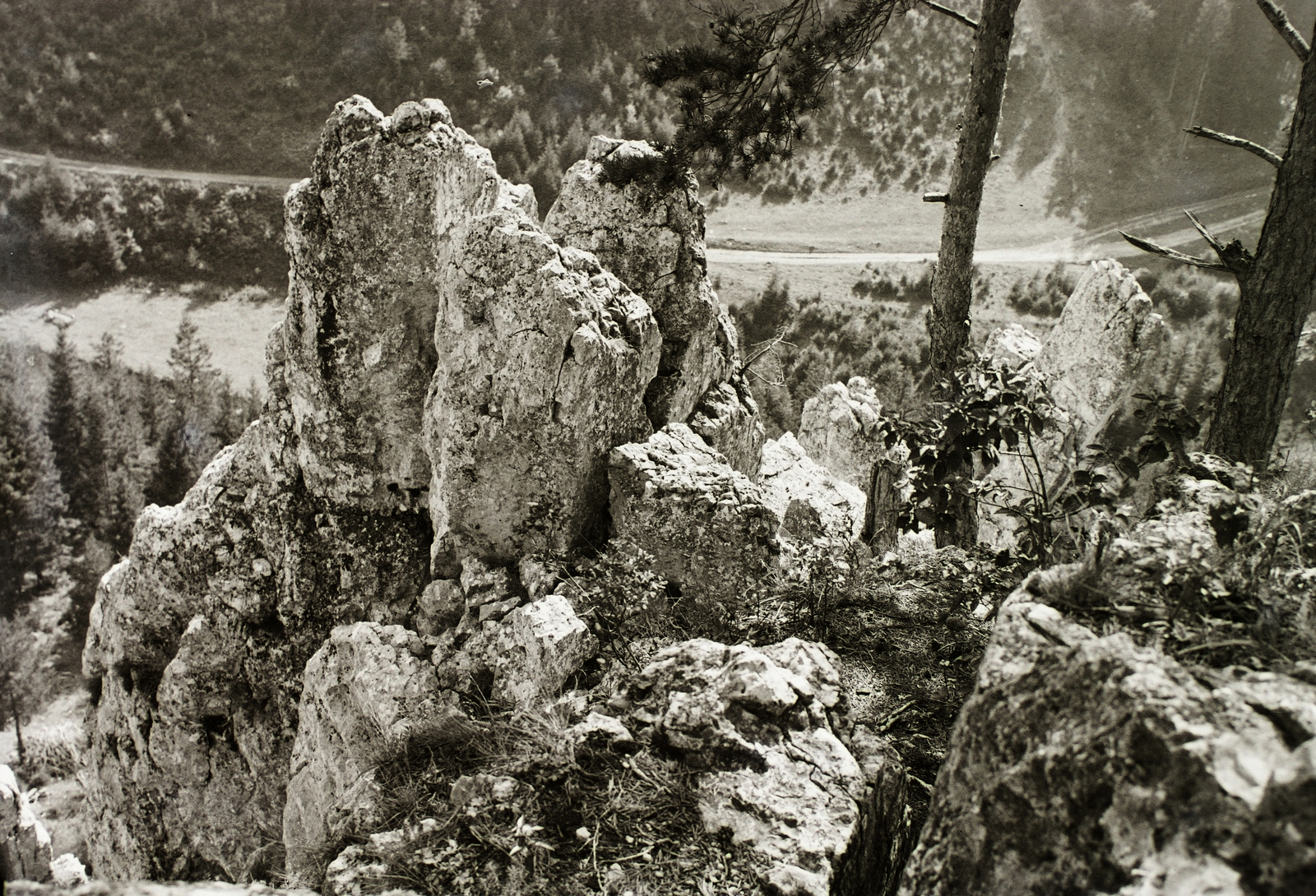 Slovakia, Slovak Paradise National Park, a Hernád-áttörés Káposztafalva és Szepessümeg között a Szószék (Kazateľnica) sziklától nézve., 1934, Schermann Ákos, Schermann Szilárd, Czechoslovakia, Fortepan #95540