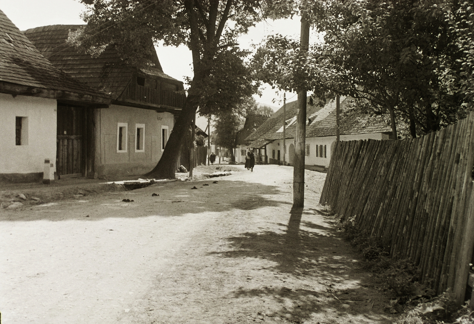 Szlovákia, Svedlér, 1948, Schermann Ákos, Schermann Szilárd, fa, földút, falu, léckerítés, Fortepan #95562