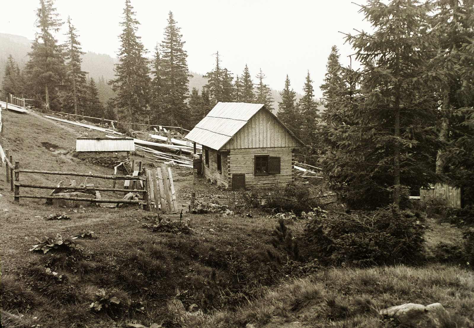 Ukrajna,Kárpátalja, Hoverla-hegy., 1954, Schermann Ákos, Schermann Szilárd, Csehszlovákia, Fortepan #95568