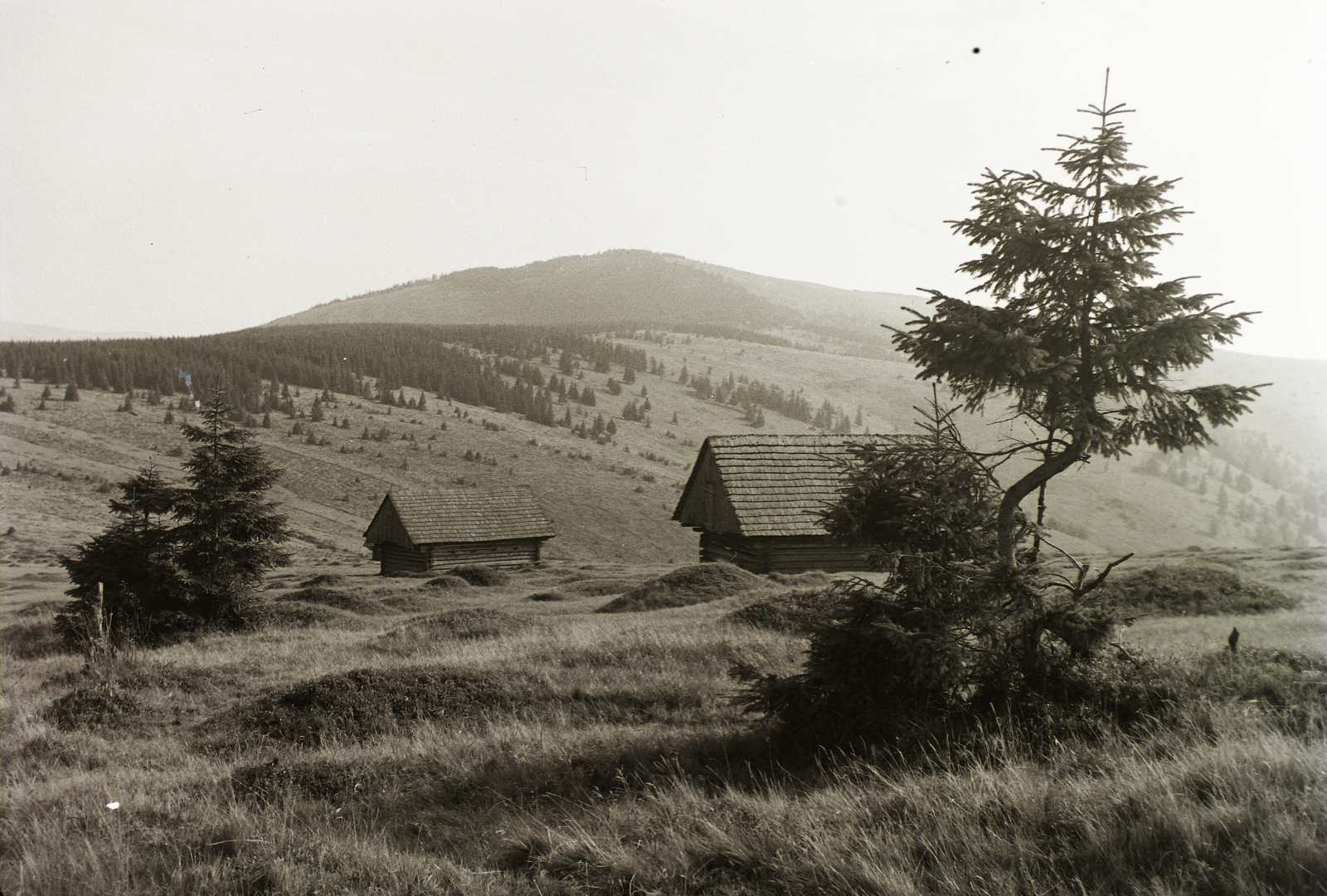 Szlovákia, Rozsnyói-hegység, Tresznyik-hegy., 1936, Schermann Ákos, Schermann Szilárd, Fortepan #95589