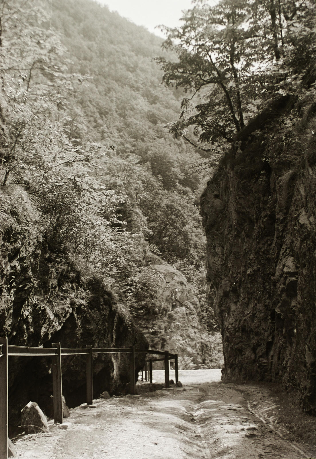 Slovakia, Háj, Áji-völgy, az Ördög-hídja nevű sziklaképződmény., 1936, Schermann Ákos, Schermann Szilárd, Fortepan #95591