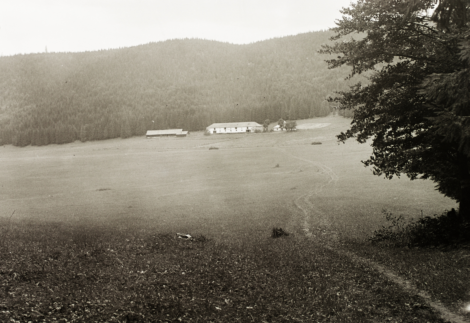 Szlovákia, Murányi-fennsík, Nagy-rét (Vel'ka lúka)., 1937, Schermann Ákos, Schermann Szilárd, Csehszlovákia, Fortepan #95596