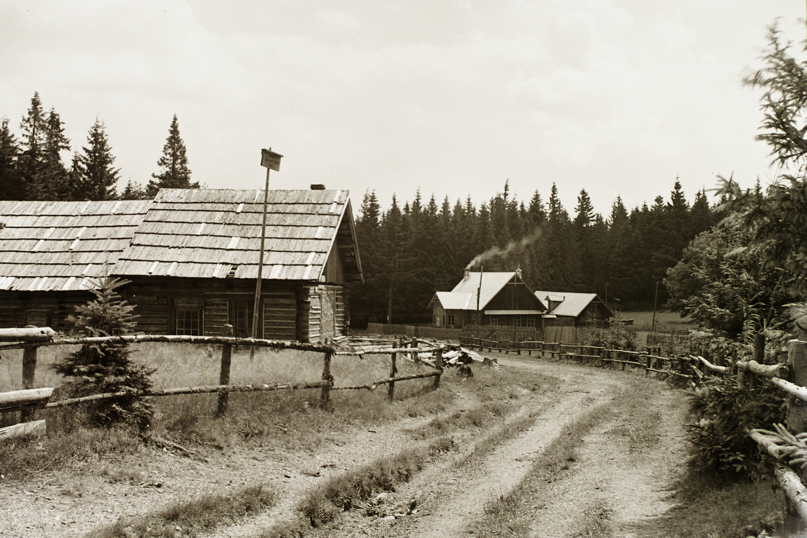 Slovakia, az Iglófüred és Hollópatak közötti út a Szepegő (Grajnár, Greiner) hegy mellett., 1938, Schermann Ákos, Schermann Szilárd, Czechoslovakia, road, Fortepan #95606