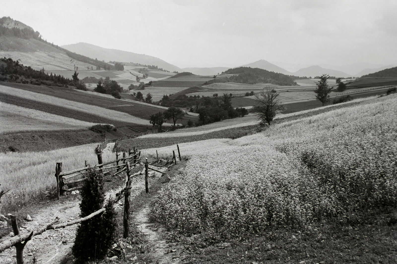 Slovakia, Vrchteplá, a felvétel a község határában készült, balra az Okrúhle szikla., 1939, Schermann Ákos, Schermann Szilárd, landscape, First Slovak Republic, Fortepan #95636