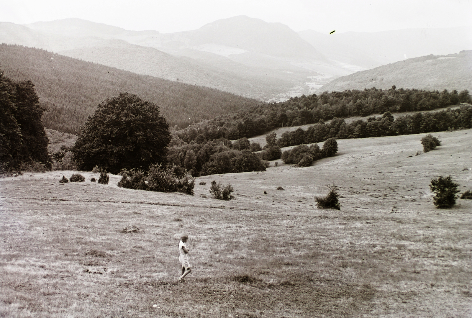 Slovakia, a Sajó-völgye és a Radzim-hegy keletről nézve., 1939, Schermann Ákos, Schermann Szilárd, landscape, First Slovak Republic, Fortepan #95641