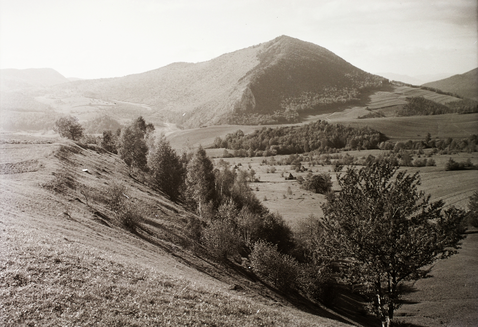 Slovakia, Somhegy Lucska felől nézve., 1940, Schermann Ákos, Schermann Szilárd, mountain, hillside, Fortepan #95653