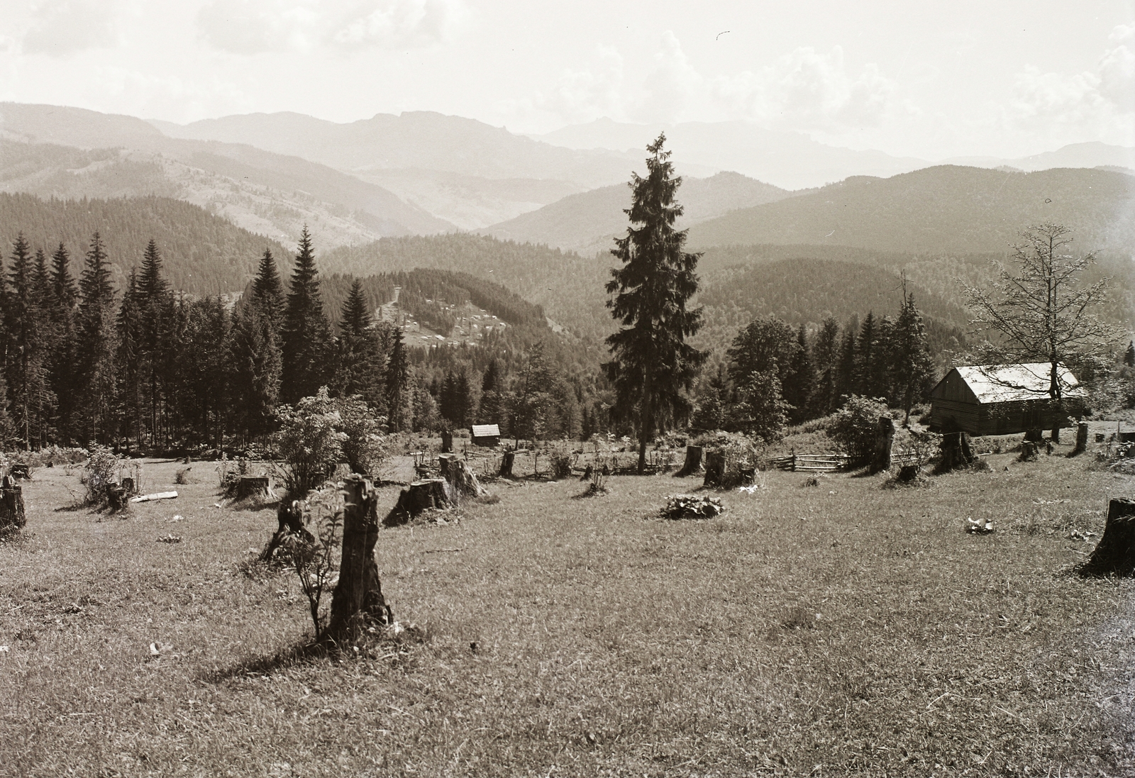 Romania,Transylvania, Borsec, a Keleti-Kárpátok hegyvonulatai a Bükkhavasról nézve, középen távol a Csalhó., 1941, Schermann Ákos, Schermann Szilárd, picture, Fortepan #95655