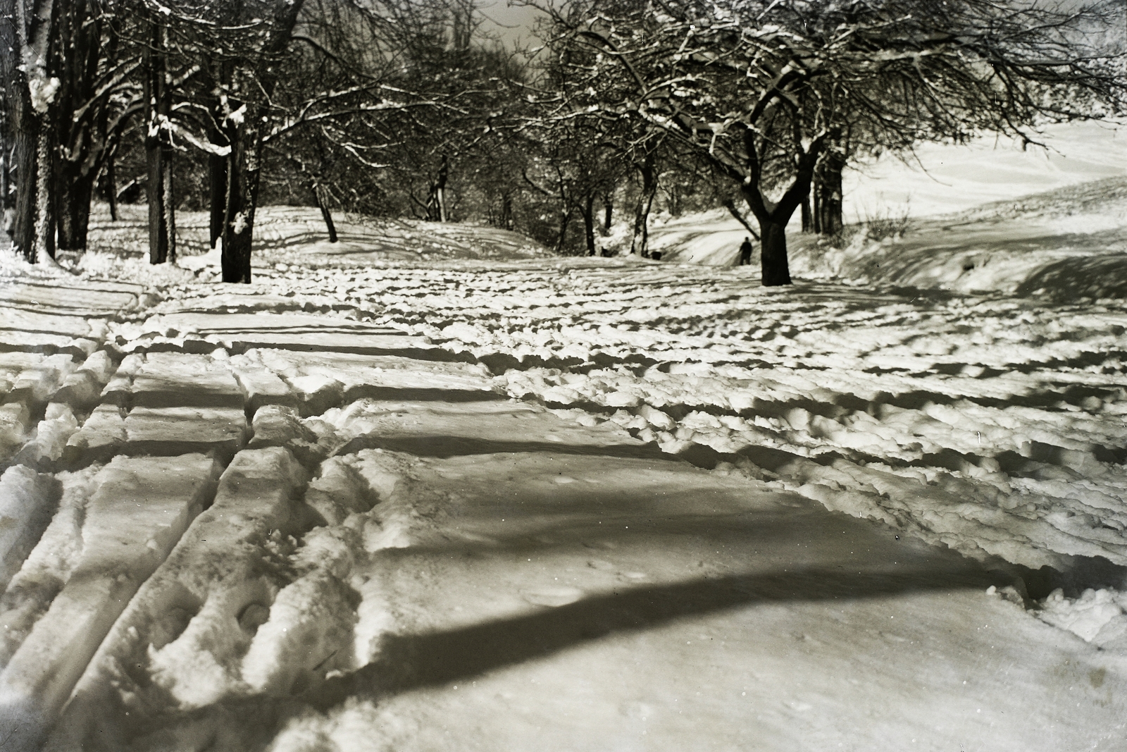 Hungary, Budapest XII., Zugliget., 1930, Schermann Ákos, Schermann Szilárd, winter, snow, Budapest, Fortepan #95701