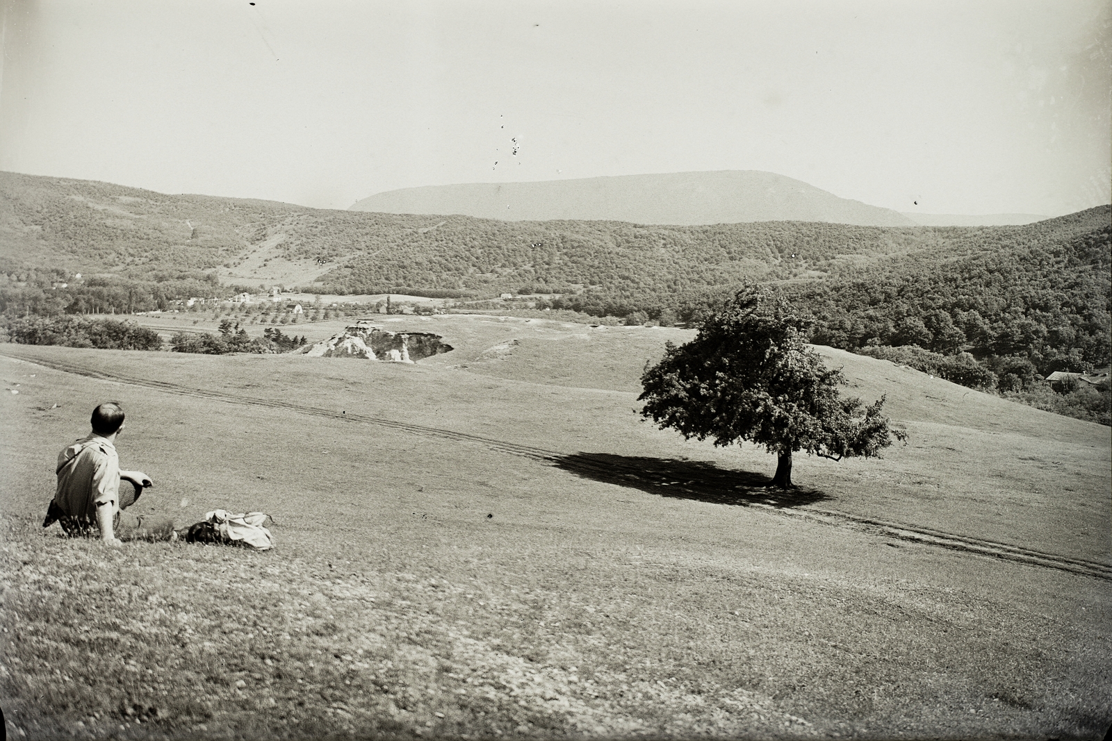 Magyarország, Pilis hegység, Piliscsaba felől nézve., 1931, Schermann Ákos, Schermann Szilárd, fa, látkép, hátizsák, tisztás, turista, háttal, Fortepan #95710