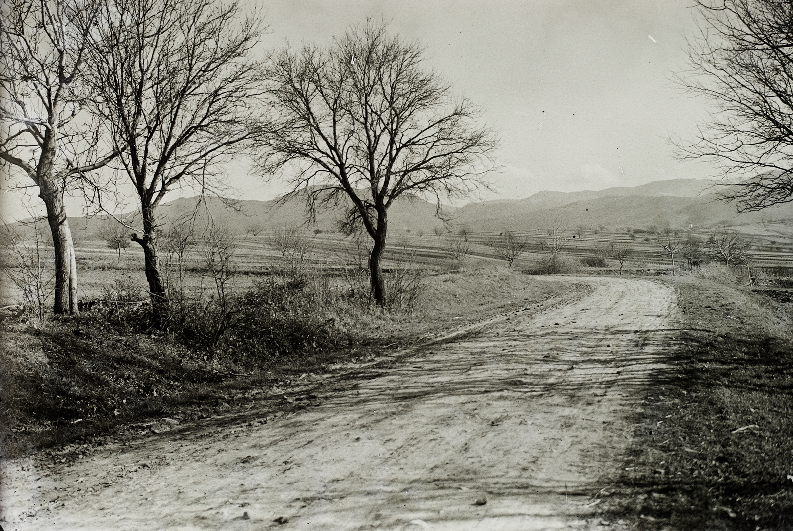 Magyarország, Nagybörzsöny, a faluba vezető bekötőút., 1931, Schermann Ákos, Schermann Szilárd, látkép, földút, Fortepan #95715