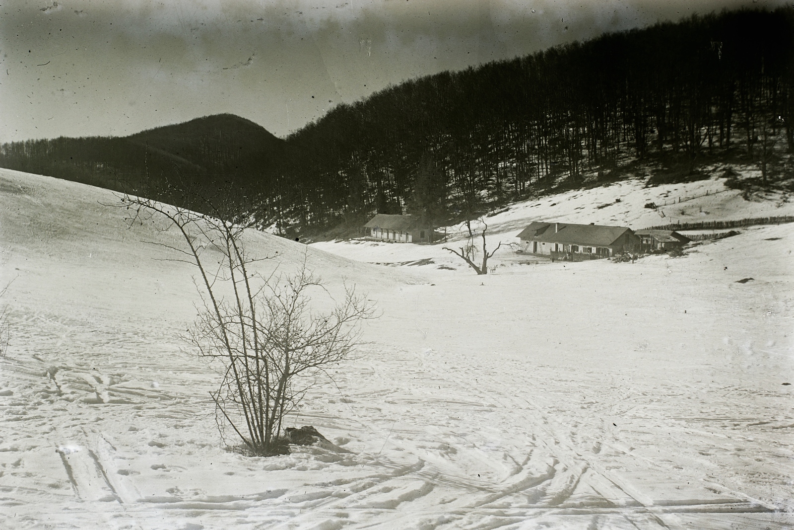 Hungary, Nagyvisnyó, a csurgói erdészházak., 1932, Schermann Ákos, Schermann Szilárd, winter, Fortepan #95717